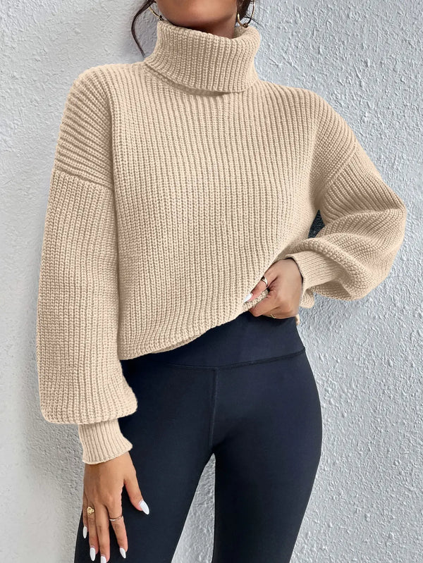 Pulls à col roulé